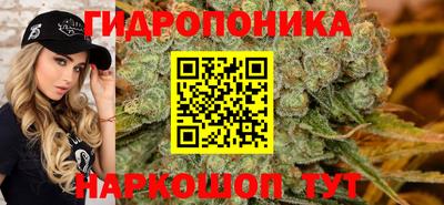 ECSTASY Гусев